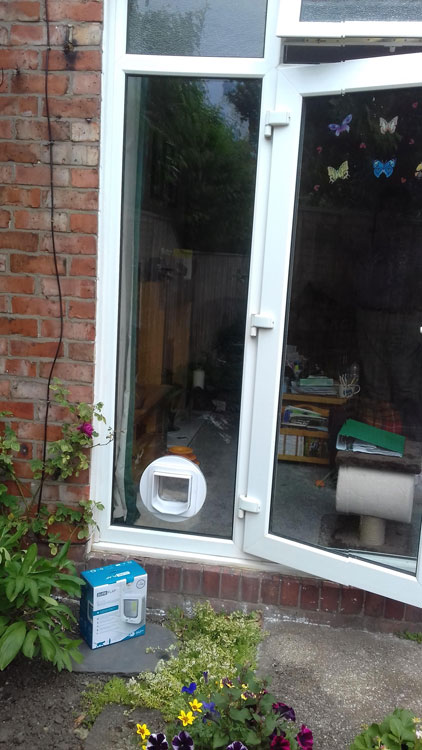 cat flap kings