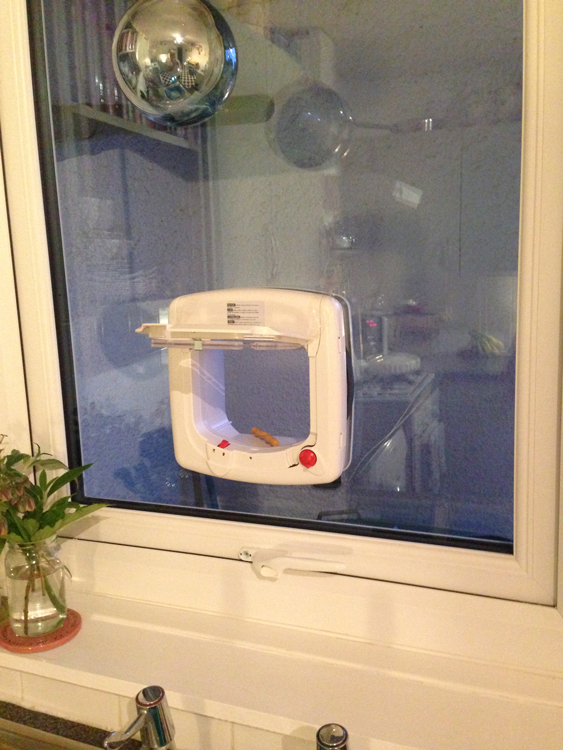 cat flaps Newcastle and Northumberland