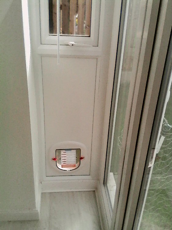 Dog flap fitters Washington, Tyne and Wear
