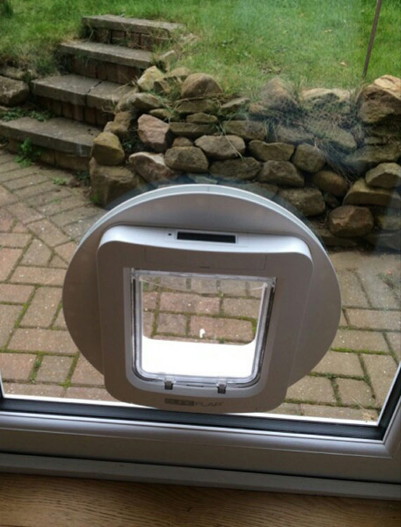 dog flap fitters North East