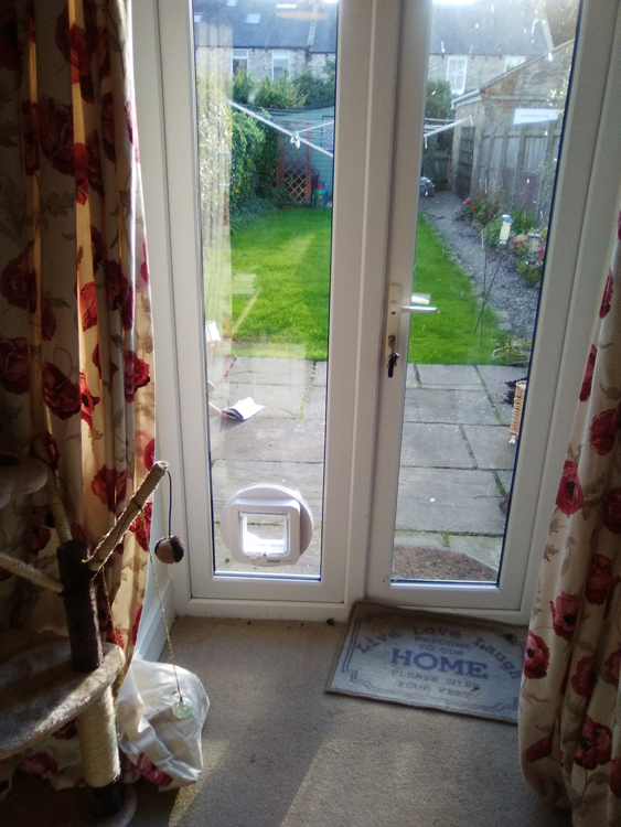 cat flap fitter Northumberland and the North East