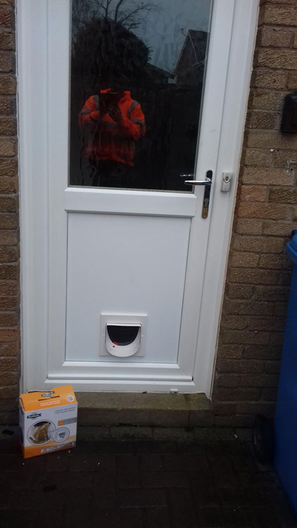Cat flap installers Warkworth and Amble