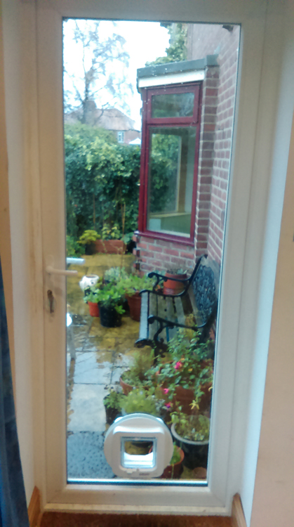 Cat flap installers Durham and County Durham