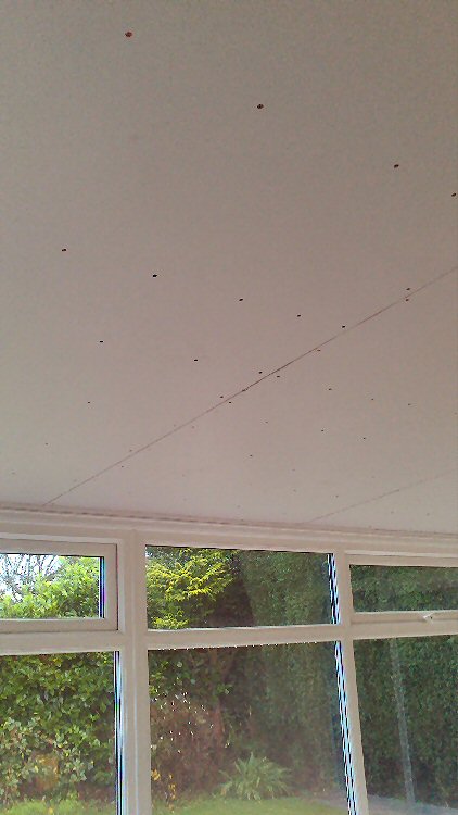 Darras Hall conservatory roof insulation